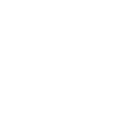 Collaborative Partnerships